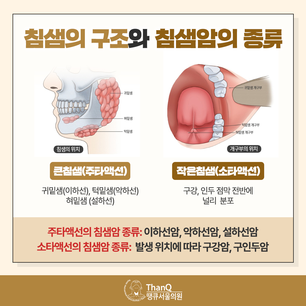 땡큐서울의원 - [땡큐서울의원 두경부클리닉 _ 성명훈 원장 의학칼럼] 두경부암 검진이 필요한 경우