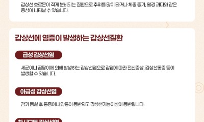 땡큐서울의원 - [땡큐서울의원 갑상선클리닉 _ 한세은 원장 의학칼럼] 내 몸의 대사 조절자, '갑상선 관리'가 건강의 승부처이다