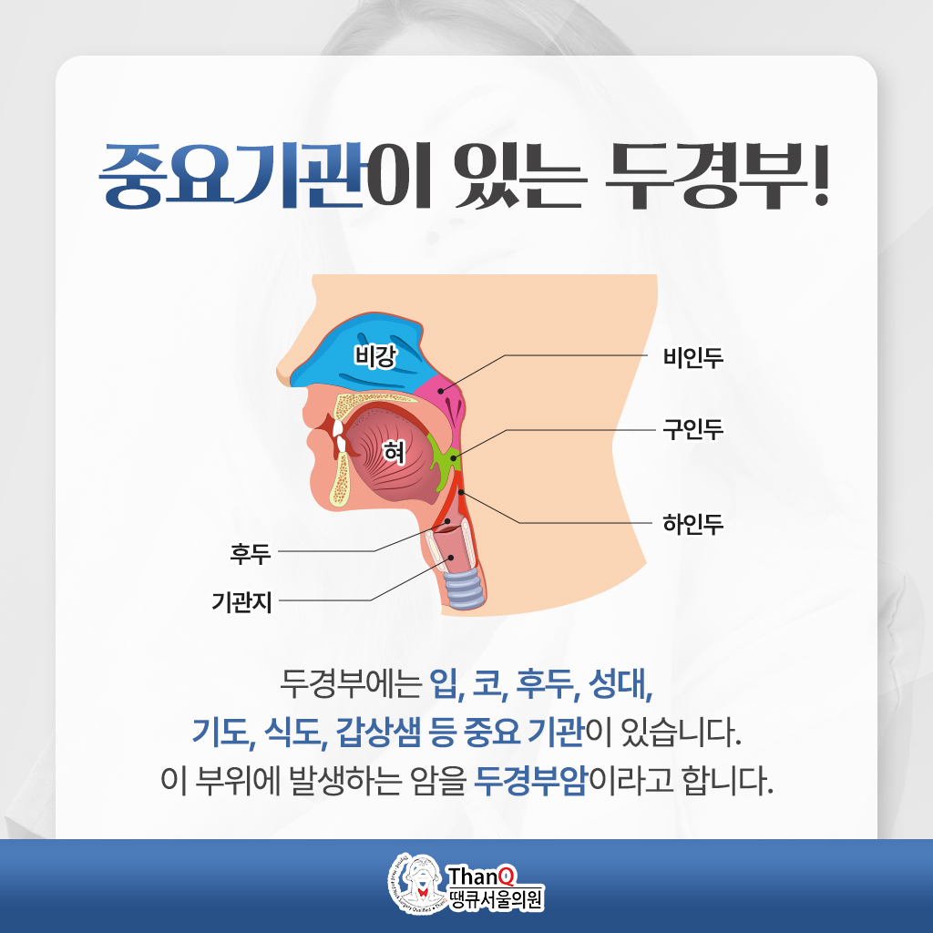 땡큐서울의원 - [땡큐서울의원 두경부클리닉 _ 성명훈 원장 의학칼럼] 감기·구내염과 헷갈리기 쉬운 두경부암, 조기 진단과 검사의 모든 것