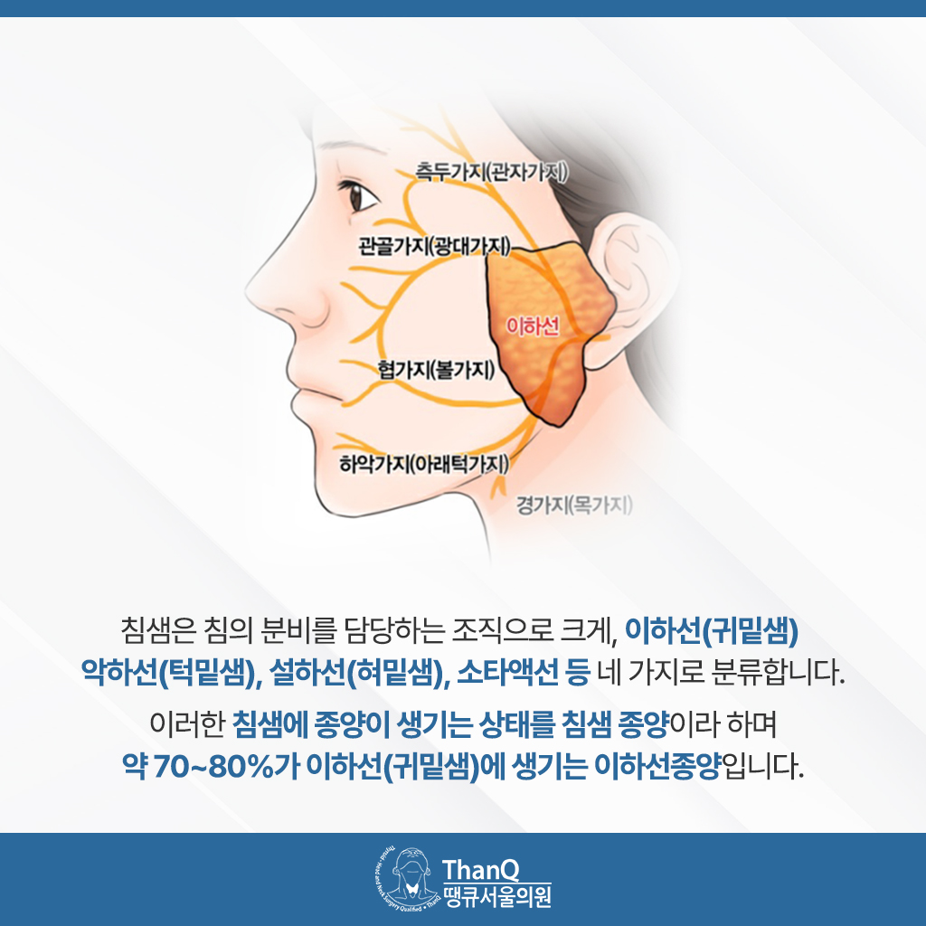 땡큐서울의원 - [땡큐서울의원 이하선종양클리닉_ 하정훈 원장 의학칼럼] 귀밑에 생긴 이하선종양, 수술에서 안면신경 보존이 중요한 이유
